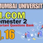 E-commerce m com semester 2 important questions and answers pdf 2024